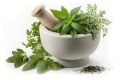[fpdl.in]_fresh-herbs-mortar-isolated-white-background_410516-34763_full-min